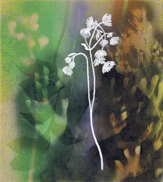 Elisabeth Plank - Weiß ist nicht zu fassen, 2012, Acryl auf Leinwand, 50 × 45 cm